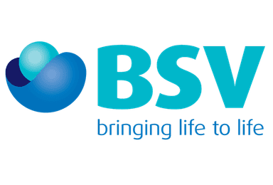 BSV Logo