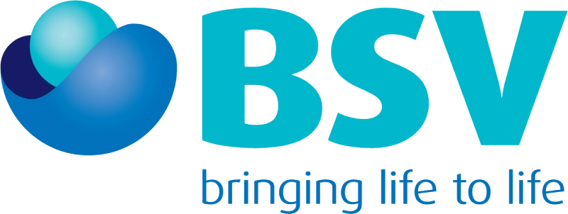 BSVGroup logo